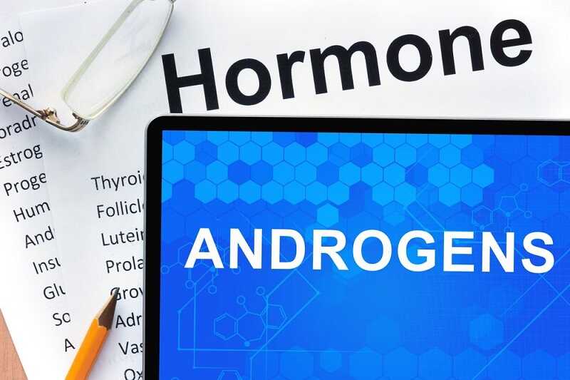 Hormone androgen là một loại nội tiết tố trong cơ thể, thường được gọi là nội tiết tố nam
