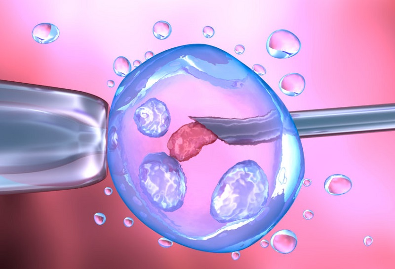 Thụ tinh nhân tạo là phương pháp đưa tinh trùng trực tiếp đến tử cung để hình thành bào thai